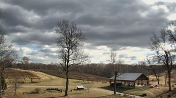 Weather camera view of Dodon Vineyards.