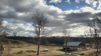 Weather camera view of Dodon Vineyards.