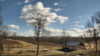 Weather camera view of Dodon Vineyards.