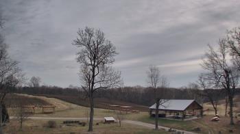 Weather camera view of Dodon Vineyards.