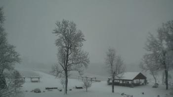 Weather camera view of Dodon Vineyards.