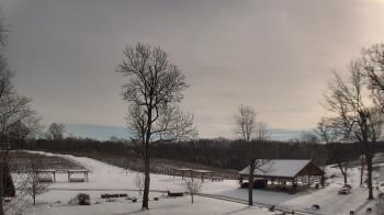 Weather camera view of Dodon Vineyards.