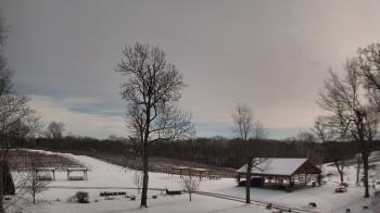 Weather camera view of Dodon Vineyards.