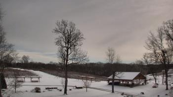 Weather camera view of Dodon Vineyards.