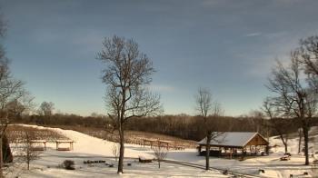 Weather camera view of Dodon Vineyards.