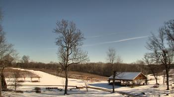 Weather camera view of Dodon Vineyards.