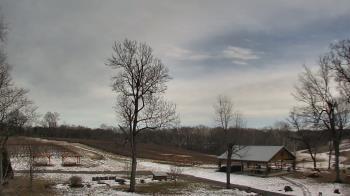 Weather camera view of Dodon Vineyards.