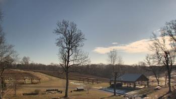 Weather camera view of Dodon Vineyards.