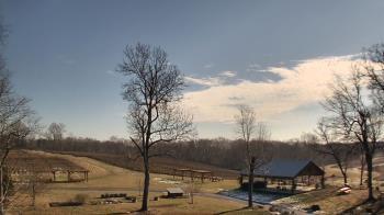 Weather camera view of Dodon Vineyards.