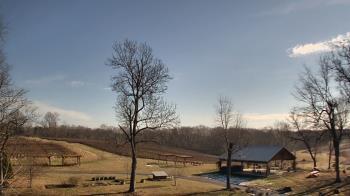 Weather camera view of Dodon Vineyards.