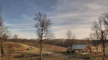 Weather camera view of Dodon Vineyards.