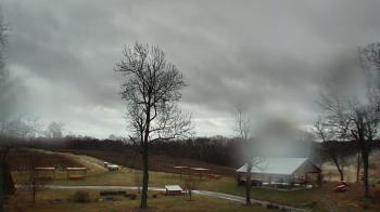 Weather camera view of Dodon Vineyards.