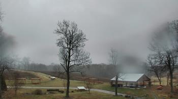 Weather camera view of Dodon Vineyards.