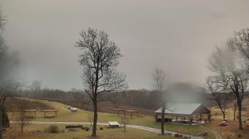 Weather camera view of Dodon Vineyards.