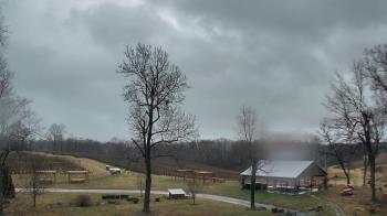 Weather camera view of Dodon Vineyards.