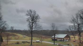 Weather camera view of Dodon Vineyards.