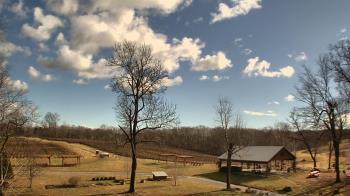 Weather camera view of Dodon Vineyards.