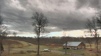 Weather camera view of Dodon Vineyards.