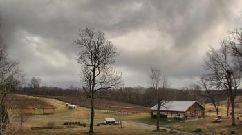 Weather camera view of Dodon Vineyards.