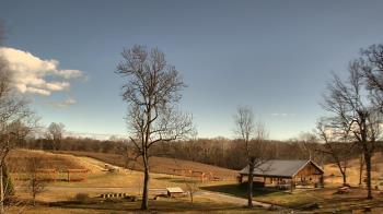 Weather camera view of Dodon Vineyards.