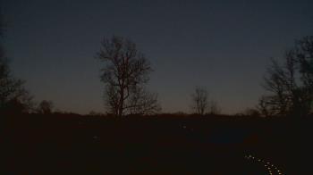 Weather camera view of Dodon Vineyards.