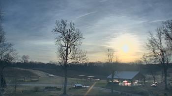 Weather camera view of Dodon Vineyards.