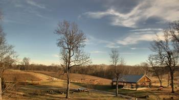 Weather camera view of Dodon Vineyards.