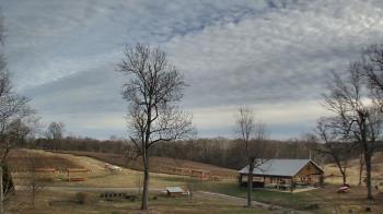Weather camera view of Dodon Vineyards.