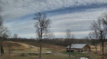 Weather camera view of Dodon Vineyards.