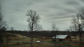 Weather camera view of Dodon Vineyards.