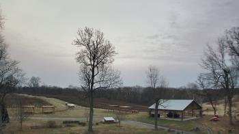 Weather camera view of Dodon Vineyards.