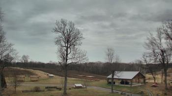 Weather camera view of Dodon Vineyards.