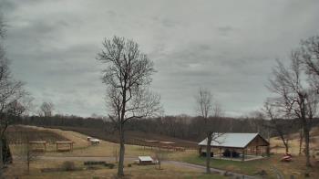 Weather camera view of Dodon Vineyards.