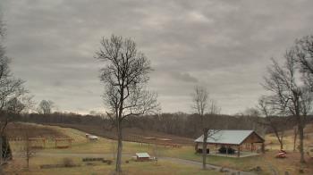 Weather camera view of Dodon Vineyards.