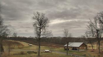 Weather camera view of Dodon Vineyards.