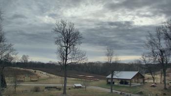 Weather camera view of Dodon Vineyards.