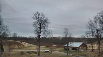 Weather camera view of Dodon Vineyards.