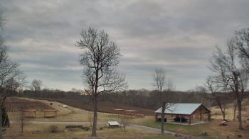 Weather camera view of Dodon Vineyards.