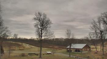 Weather camera view of Dodon Vineyards.