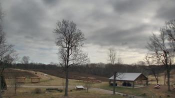 Weather camera view of Dodon Vineyards.