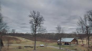 Weather camera view of Dodon Vineyards.