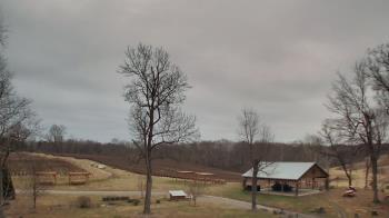 Weather camera view of Dodon Vineyards.