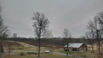 Weather camera view of Dodon Vineyards.