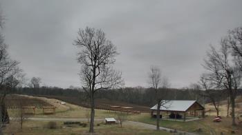 Weather camera view of Dodon Vineyards.