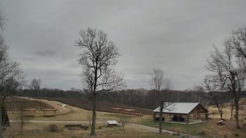 Weather camera view of Dodon Vineyards.