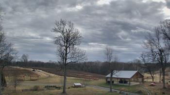 Weather camera view of Dodon Vineyards.