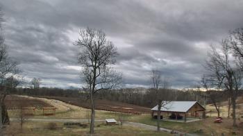 Weather camera view of Dodon Vineyards.