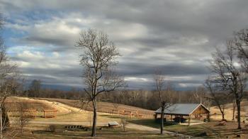 Weather camera view of Dodon Vineyards.