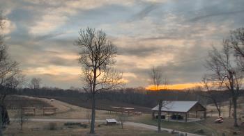 Weather camera view of Dodon Vineyards.