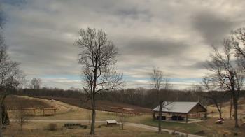 Weather camera view of Dodon Vineyards.